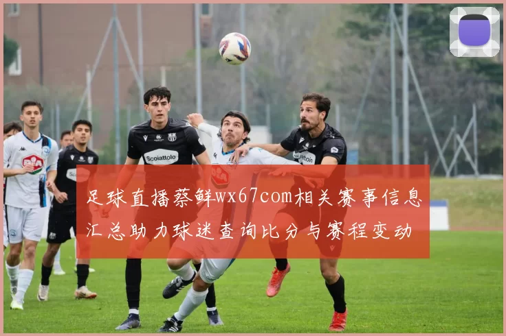 足球直播蔡鲜wx67com相关赛事信息汇总助力球迷查询比分与赛程变动