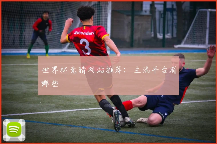 世界杯竞猜网站推荐：主流平台有哪些